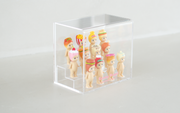 Item Overview: Acrylic Display Case X9