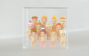 Item Overview: Acrylic Display Case X9