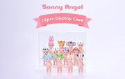 Item Overview: Acrylic Display Case X9