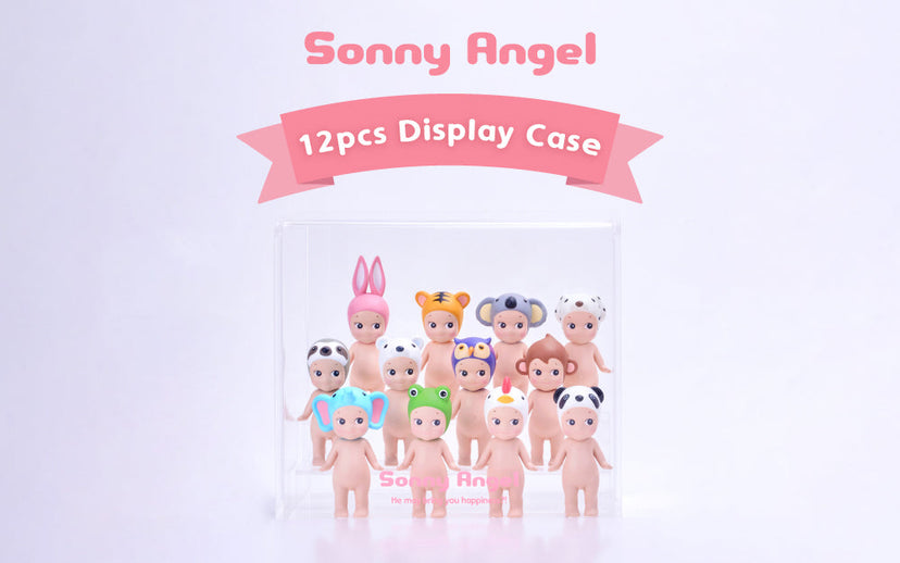 Item Overview: Acrylic Display Case X9