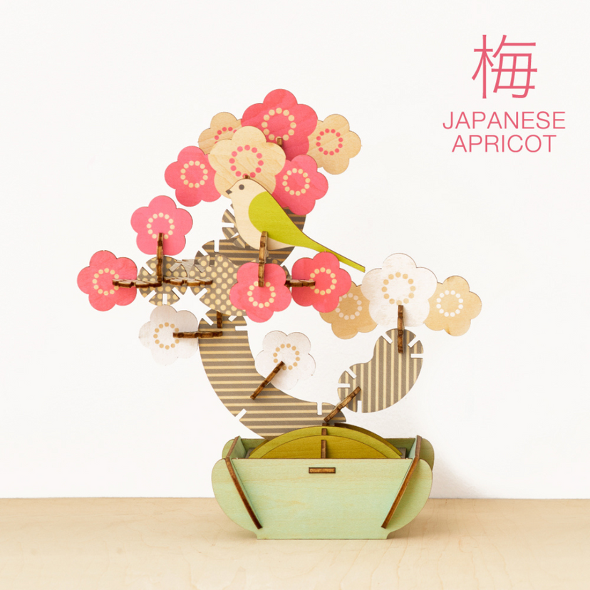 Play Plants Bonsai Puzzles | Product Overview X3