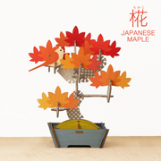 Play Plants Bonsai Puzzles | Product Overview X3